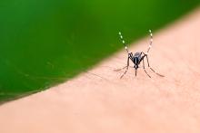 Zika and dengue but not chikungunya are associated with Guillain–Barré syndrome in Mexico: A case-control study